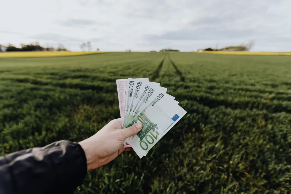 Persoană care analizează opțiuni de investiții